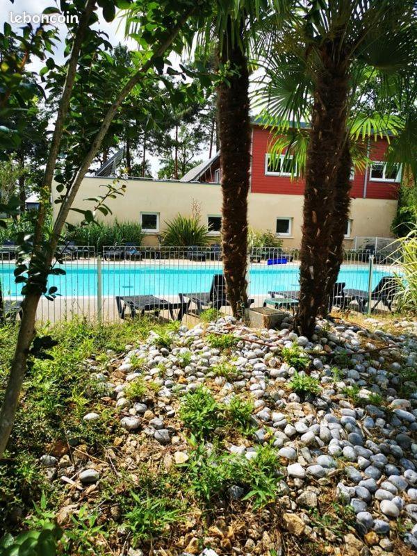 Vacances Ou Cnpe - Appart 2-3 Pers - Le Relais Du Plessis - Richelieu シャヴェーニュ エクステリア 写真